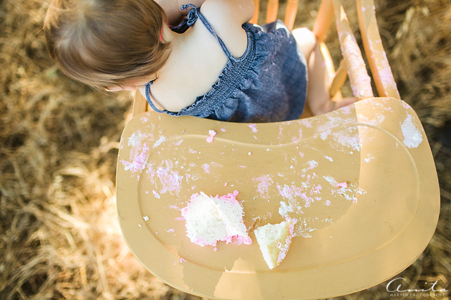 SacramentoMaternity-Newborn-OneYear-Photographer-012