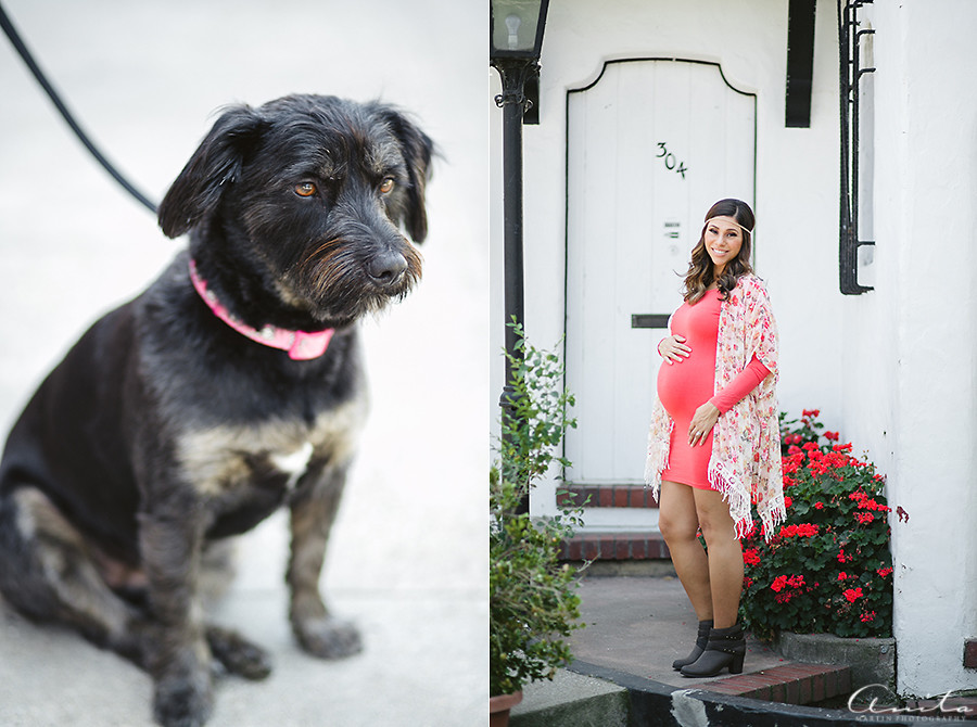Folsom Maternity Photographer-008