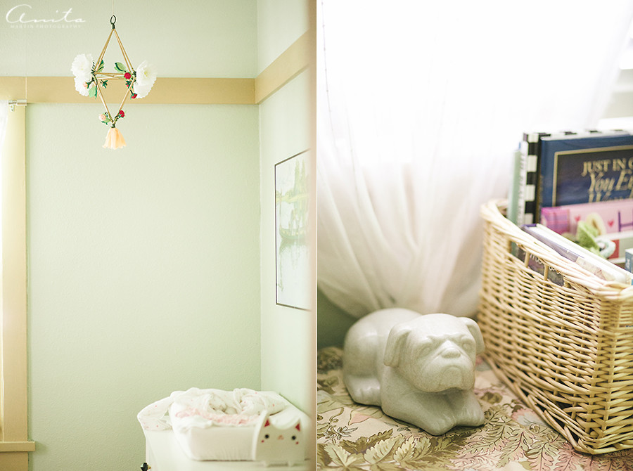 Folsom Downtown Sacramento Newborn In Home Photographer-06