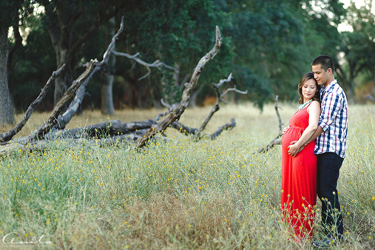 Folsom Maternity Photographer-001
