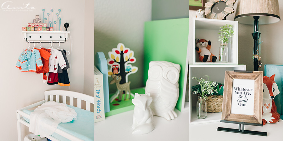 SanFrancisco In Home Newborn Photographer 002