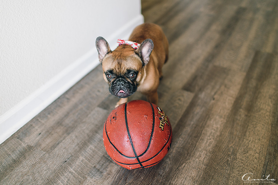 SanFrancisco In Home Newborn Photographer 004