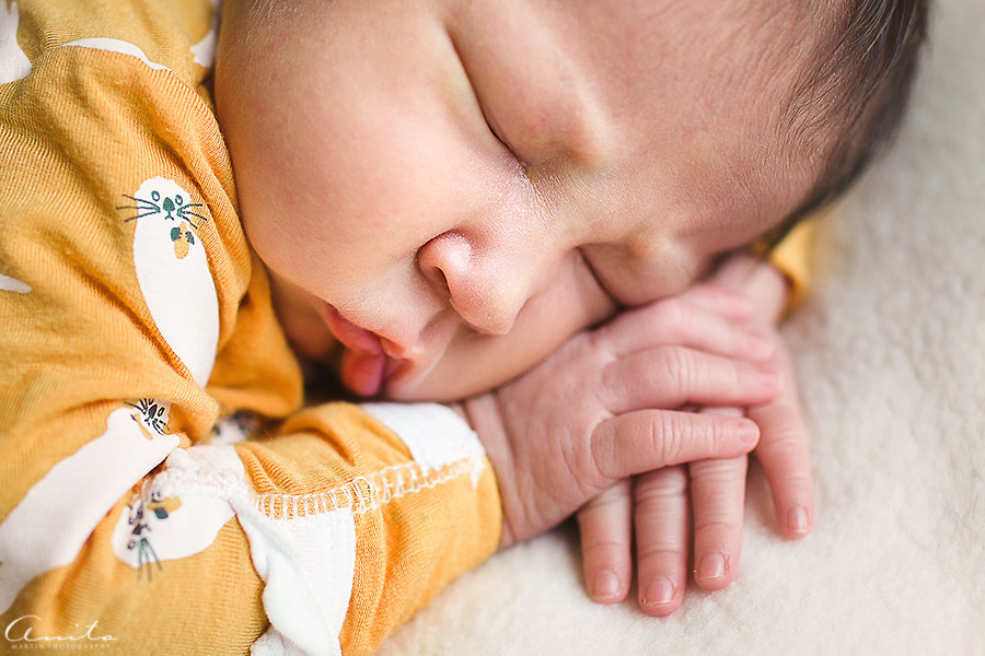Sacramento In Home Newborn Photographer-001