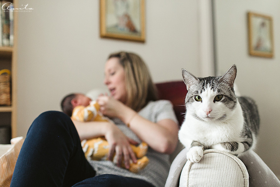Sacramento In Home Newborn Photographer-009