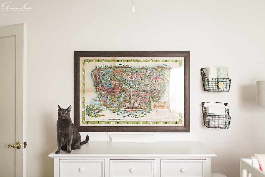 Sacramento In Home Newborn Photographer-016