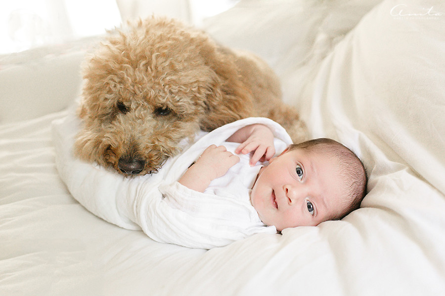 SacramentoNewbornPhotographer-In-Home-003