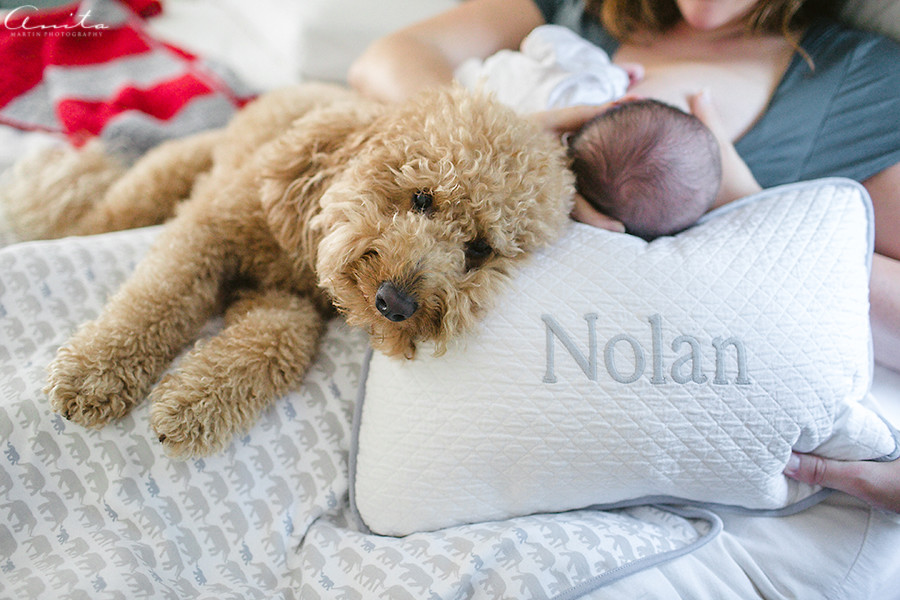 SacramentoNewbornPhotographer-In-Home-005