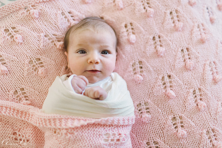 Roseville-In-Home-Newborn Photographer-006