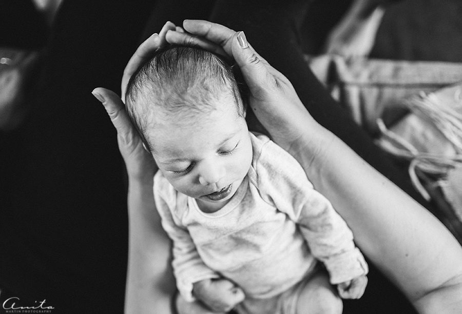 San Francisco In Home Newborn Photographer-000