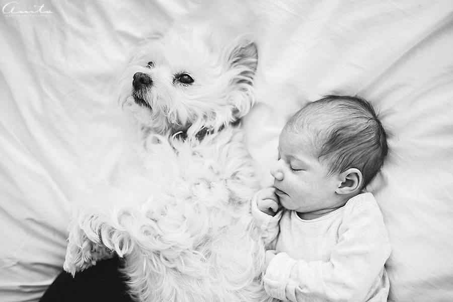 San Francisco In Home Newborn Photographer-013