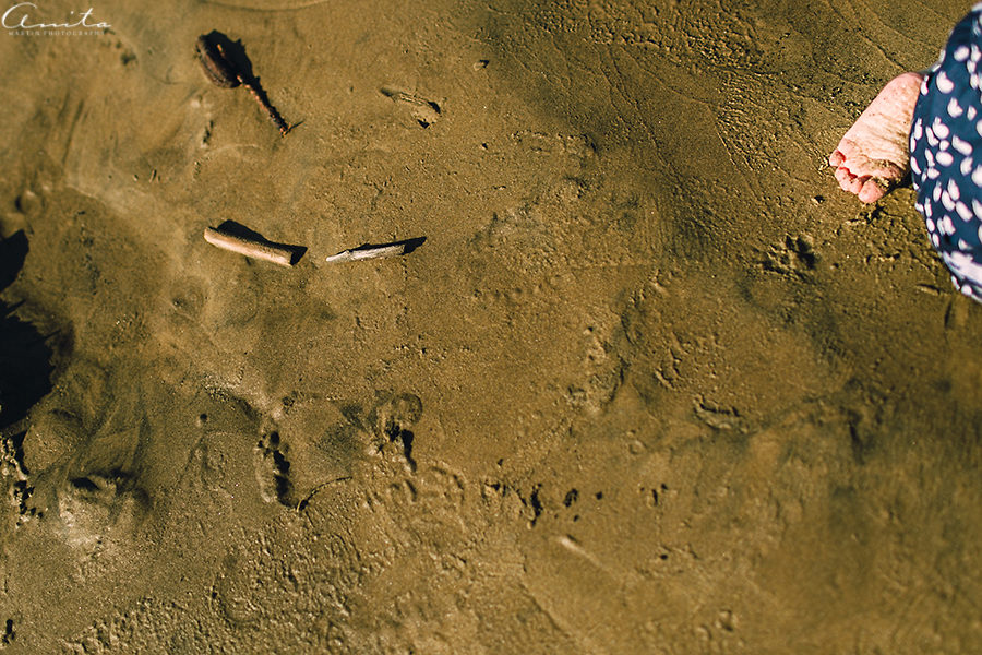 Lake Tahoe Family Photographer-008