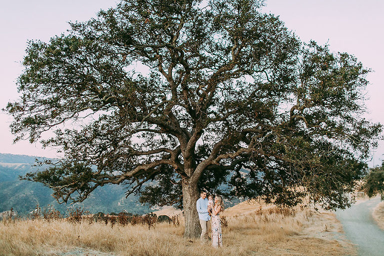 Gorgeous Tree Sacramento Family Photographer