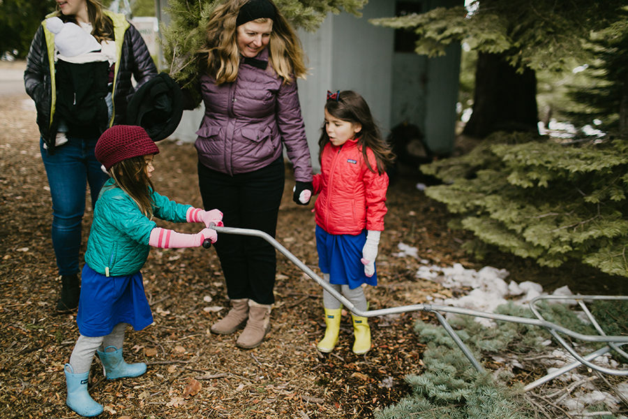 Apple Hill Christmas Tree Hunt Photographer