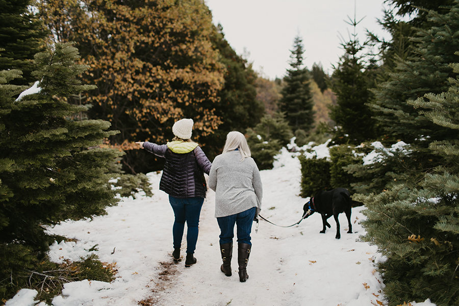 Apple Hill Christmas Tree Hunt Photographer