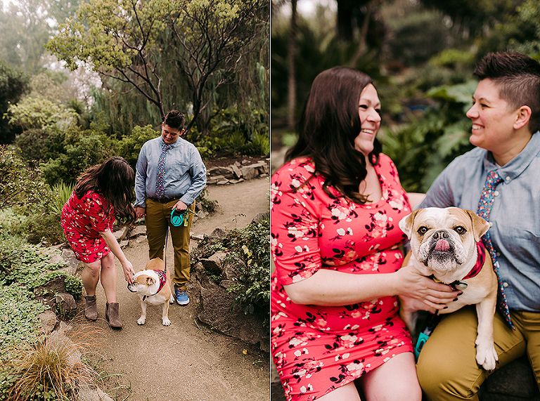 Maternity with dog Sacramento Land Park